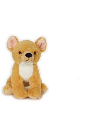 CHIHUAHUA MEDIO 800210