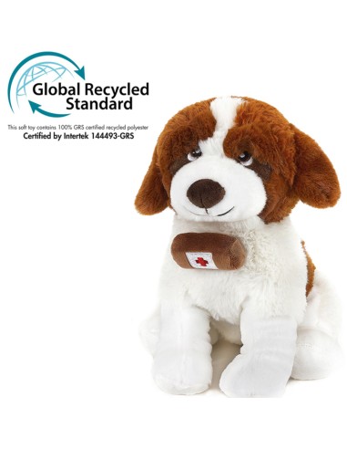 SAN BERNARDO GRANDE  800254