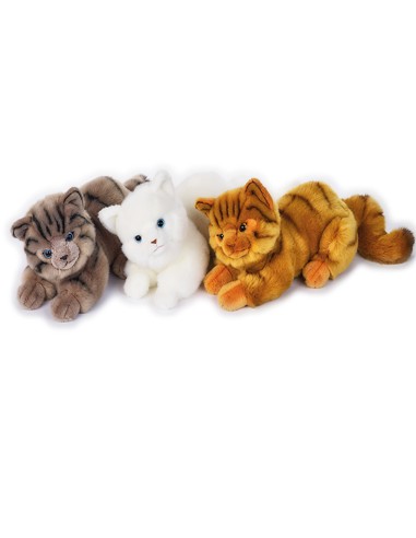 MILU' GATTI ASS.  MY PUPPY 631904