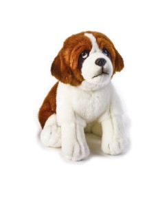 BERNY S. BERNARDO MY PUPPY 642305