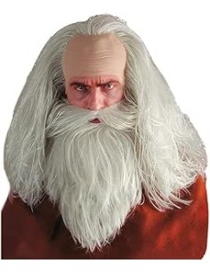 PARRUCCA MAGO CON BARBA 02896
